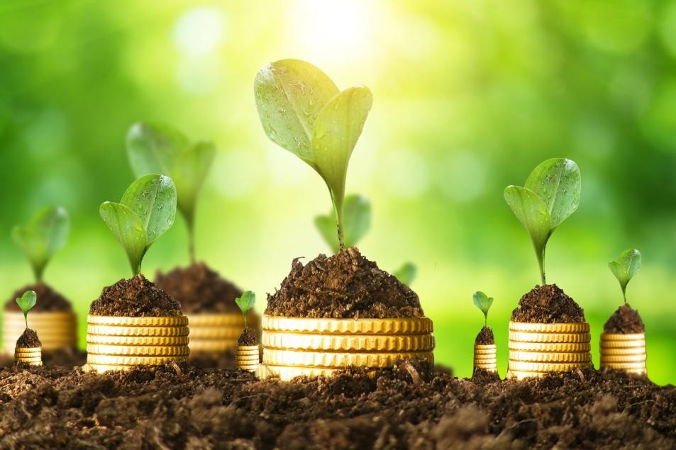 綠色金融服務(wù)